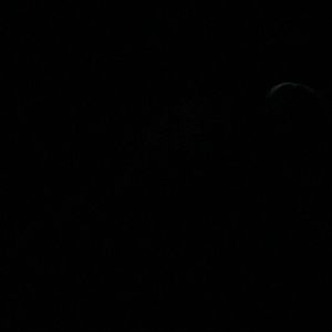 Meet your Posher, Maya